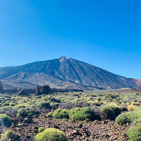 Apartamento Atlantico Santa Cruz de Tenerife Dış mekan fotoğraf
