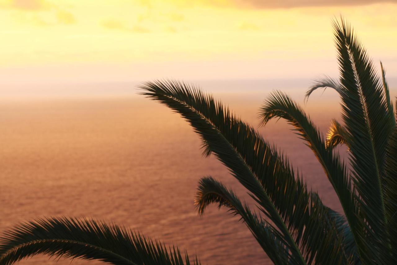 Apartamento Atlantico Santa Cruz de Tenerife Dış mekan fotoğraf
