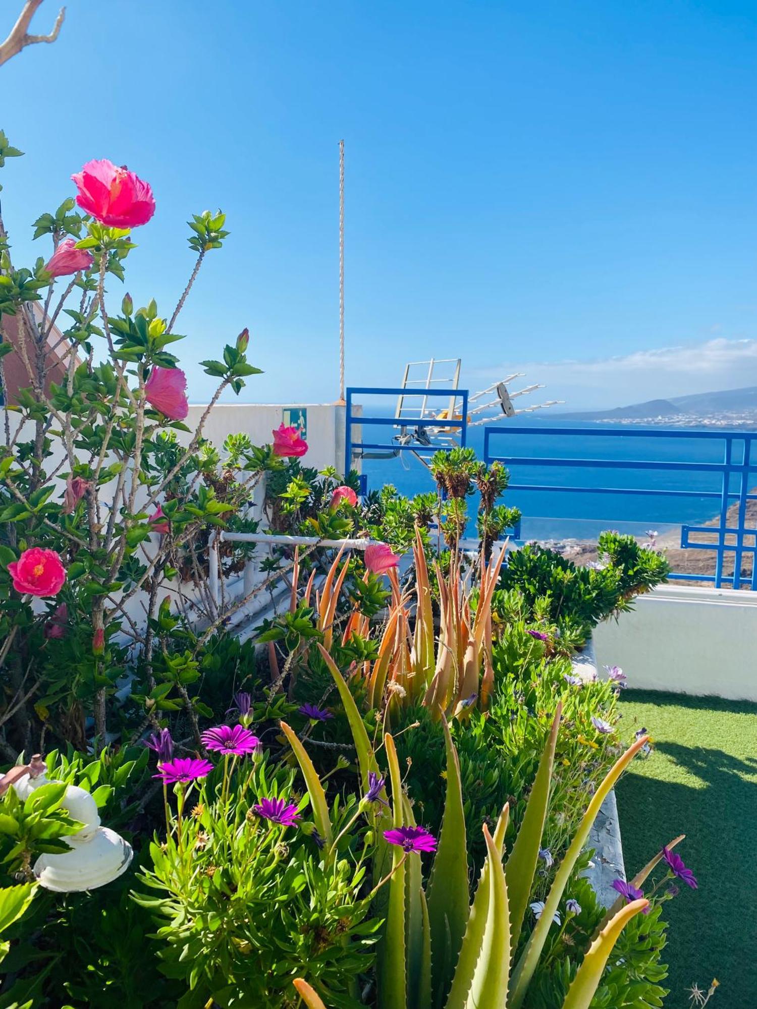 Apartamento Atlantico Santa Cruz de Tenerife Dış mekan fotoğraf